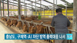 충남, 구제역.AI 차단방역 총력대응 나서