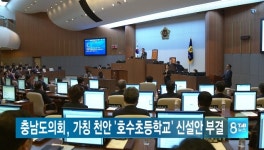 가칭 천안 호수초 신설안 도의회에서 부결