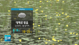 내일 맑다가 구름 많음..다음주 초까지 더위