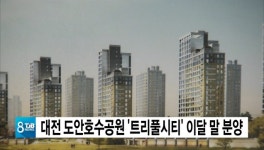 대전 도안호수공원 트리풀시티 이달 말 분양