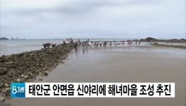 태안군, 안면읍 신야리에 해녀마을 조성 추진
