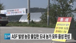 ASF 발생 농장 출입한 도내 농가 모두 음성 판성