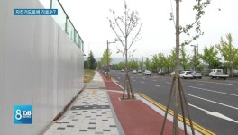 [탐사 / 자전거도로 엉터리 시공] 1. 자전거도로에 가로수 심어.. 황당 설계 몰랐다?