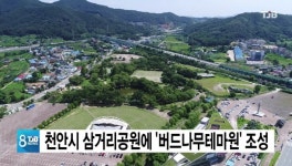 천안시 삼거리공원에 30종 버드나무테마원 조성키로