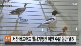 서산 버드랜드 철새기행전 이번 주말 동안 열려