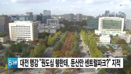 대전 행감 원도심 휑한데, 둔산만 센트럴파크? 지적