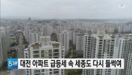 대전 아파트 급등세 속 세종도 다시 들썩여