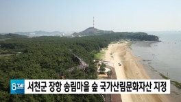 서천군 장항 송림마을 숲 국가산림문화자산 지정