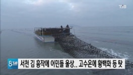 서천김6차산업화 어업회사법인 주식회사 | 서천군 김 흉작에 어민들 울상.. 고수온에 황백화 등 탓