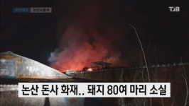 논산 돈사 화재...돼지 80여 마리 소실