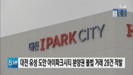 대전 유성 도안 아이파크시티 분양권 불법 거래 28건 적발