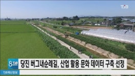 당진 버그내순례길, 산업 활용 문화 데이터 구축 선정