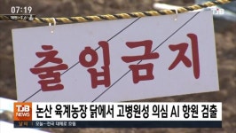 논산 육계농장 닭에서 고병원성 의심 AI 항원 검출