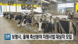 보령시, 올해 축산분야 지원사업 대상자 모집