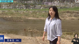 (R)유성천에서 수달 첫 포착..서식지 보호 절실