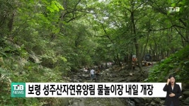 보령 성주산자연휴양림 물놀이장 내일 개장