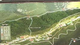 국립자연휴양림 무료 입장 확대·세금포인트 사용 가능