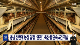 충남 산란계 농장 달걀 안전, 축산물 단속 4건 적발
