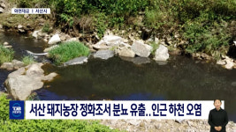 서산 돼지농장 정화조서 분뇨 유출..인근 하천 오염