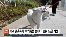 대전 중촌동에 반려동물 놀이터 오는 14일 개장