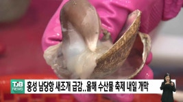홍성 남당항 새조개 급감..올해 수산물 축제 내일(7) 개막