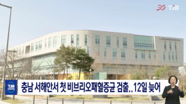 충남 서해안서 첫 비브리오패혈증균 검출..12일 늦어