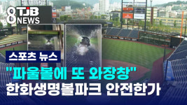 (R)파울볼에 또 와장창 한화생명볼파크 안전한가