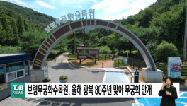 보령무궁화수목원, 올해 광복 80주년 맞아 무궁화 만개