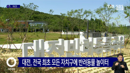 대전시, 전국 최초로 모든 자치구에 반려동물 놀이터