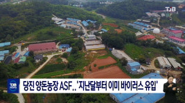 당진 양돈농장 ASF..지난달부터 이미 바이러스 유입