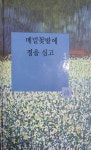 메밀 꽃밭에 정을 심고
