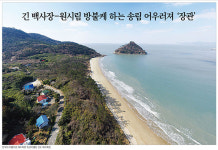 긴 백사장-원시림 방불케하는 송림 어우러져 장관