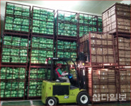 농가-기업 연계로 제주 농산물 경쟁력 성장