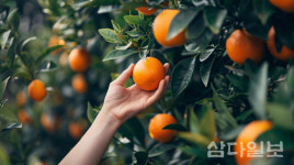제주신화월드 겨울 패키지 2종 출시