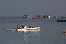 광활한 바다를 품은 관광·낚시 명소 꿈꾸는 작은 섬