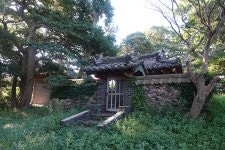 드넓은 평야 연상케하는 바다 밭에 연신 셔터 눌러