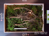 깨끗한 물로 키워낸 제주산, JQ 마크로 프리미엄 인증