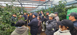 제주농업기술센터, 2025년 감귤류 정지·전정 기술교육 추진