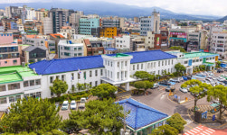 제주시 한림읍서 가축분뇨 토양 유출 사고