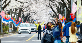 제18회 전농로 왕벚꽃 축제 D-1