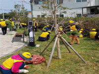 제주시 용담2동 용마경로당 어르신들, 지역 환경정화 봉사활동 전개