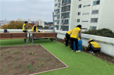 제주시 이도1동경로당, 복지회관옥상 텃밭 조성 실시
