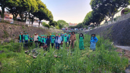 새마을지도자이도2동협 산지천 풀베기