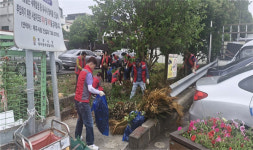 제주시 삼도1동통장협의회, 용천마을 주변 환경정비 실시