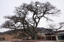 발길 잡는 아름다운 해식동굴·해안 절경 눈길