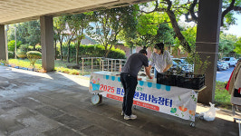 서귀포시 표선면, 2025년 표선 환경나눔장터 개최