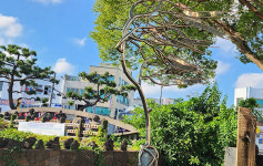 탐라 역사-일제강점기-6·25전쟁-4·3 등 제주이야기 있는 길