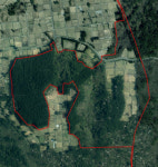 50년 묵은 연동 공설묘지 지적불합지 정리한다