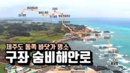 구좌 숨비해안로 구좌읍 명소 추천, 대한민국 관광도로 제주도 드라이브 해안도로 코스