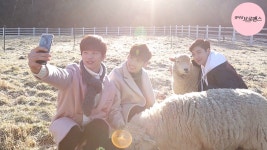 꽃브로 육성재-영민 광민, 대관령 목장을 쑥대밭 만든 95년생 절친 케미